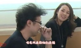 刘大锤最新爆料夫妻,夫妻档明星背后的甜蜜与挑战